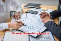Financial Consulting Services