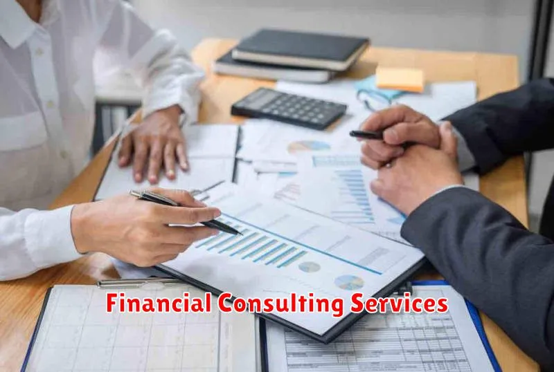 Financial Consulting Services