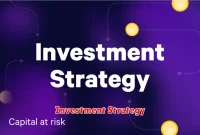 Investment Strategy